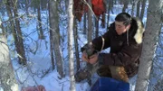 Joey Zuray setting a wolf snare.