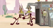 Wile E. Coyote (l.)