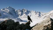 "Wunderwelt Schweiz: Wasser und Eis - Erzählt von Max Moor": Panoramabild: Bergkette.