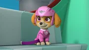 Skye