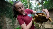 Inga beim Vermessen der Schildkröten