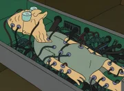 Professor Farnsworth