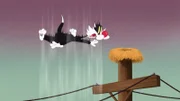 Sylvester
