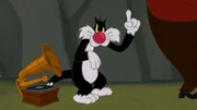 Sylvester