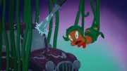 Porky Pig