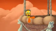 Tweety
