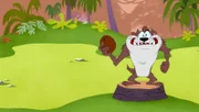 Tasmanian Devil