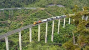 Auf seiner Tour von Auckland nach Wellington legt der Northern Explorer etwa 680 Kilometer zurück.
