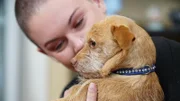 Amanda gives Quill a squeeze and says goodbye as he heads to his forever home.