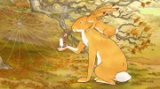 Der kleine Hase und die kleine Feldmaus spielen Wettrennen. Dabei macht der kleine Hase aus Versehen das Spinnennetz einer Spinne kaputt. Er ist untröstlich.