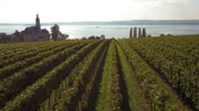 Die sonnigen Ufer des Bodensees sind bevorzugte Weinanbaugebiete.