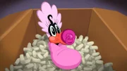 Daffy Duck