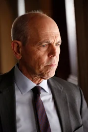 Da er im alten, neu aufgerollten Fall der leitende Ermittler war, wird Senior FBI Agent Fornell (Joe Spano) in die Untersuchungen mit eingebunden ...