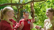 Inga, Laura und Kalid dürfen Äffchen füttern.