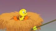 Tweety