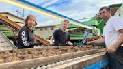 Luise, Hennes und Ronny retten die Kartoffelernte.