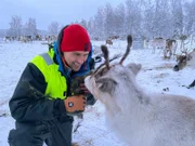 Uli Kunz bei Dreharbeiten am Polarkreis: Im Winter kommen Rentiere im Norden Schwedens bis an die Ostseeküste.