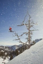 Bei "The Art of Flight" dreht sich alles um ihn und seine waghalsigen Sprünge: Profisnowboarder Travis Rice.