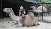 Fausto and Camel Max.