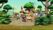 L-R: Skye, Tracker, Carlos, Matea, Zuma, Ryder, Rubble, Chase, Marshall, Rocky