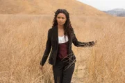 Maeve Millay ( Thandie Newton)