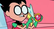 Robin
