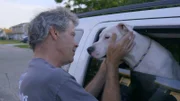 Mark saying goodbye to the white dog (Timberlake).