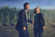 L-R: Agent Fox Mulder (David Duchovny), Agent Dana Scully (Gillian Anderson)