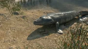 CGI-Bild eines Reptils