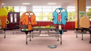 v.li.: Darwin, Gumball