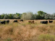 Die Aussicht auf Skinwalker-Ranch