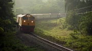 Mit der Südbahn Thailands können Reisende quer durchs Land fahren. Doch häufig werden die Gleise von Pflanzen überwuchert.