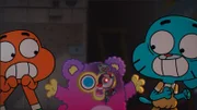 v.li.: Darwin, Fuzzy, Gumball