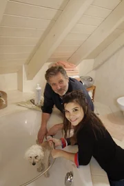 Da sie sich draußen gerne im Dreck wälzen, müssen Maltipoos oft gebadet werden.