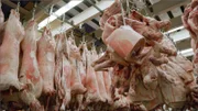 Schweinehälften