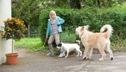 Nelly (Jule-Marleen Schuck) verbringt viel Zeit mit ihrem Hund Cookie, der sich mit dem großen Brezel anfreundet. Doch dann verschwindet Cookie und ein schlimmer Verdacht steht im Raum.; ARD/SWR TIERE BIS UNTERS DACH, "Kleiner Hund, was nun?", am Sonntag (15.09.24) um 09:00 Uhr im ERSTEN. Nelly (Jule-Marleen Schuck) verbringt viel Zeit mit ihrem Hund Cookie, der sich mit dem großen Brezel anfreundet. Doch dann verschwindet Cookie und ein schlimmer Verdacht steht im Raum. © SWR/Maria Wiesler, honorarfrei - Verwendung gemäß der AGB im engen inhaltlichen, redaktionellen Zusammenhang mit genannter SWR-Sendung bei Nennung "Bild: SWR/Maria Wiesler" (S2). SWR Presse/Bildkommunikation, Baden-Baden, Tel: 07221/929-22202, foto@swr.de