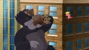 Ob es wohl hilft, wenn der Gorilla einen großen Schluck Wasser trinkt?