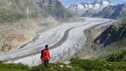 Bergführer Dominik Nellen erforscht die Natur am Grossen Aletschgletscher.