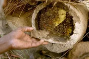 Aby sieht die Bienen als reine Geschöpfe, die ihm dabei helfen, ein guter Christ zu sein. Er kümmert sich hingebungsvoll um seine 30 Bienenstöcke aus Stroh, Lehm und Rinderdung.