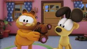 Garfields Teddy ist frisch gewaschen.
