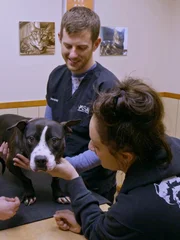 M2 getting Lanister checked out with Dr. Meredith.
