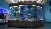 The Imaginarium Science Center in Fort Myers, Florida is adding a new and exciting attraction built by ATM!
