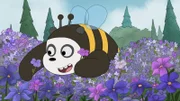 Panda Bear