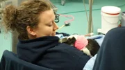 Trainer with African Penguin Zola