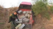 Rio Grande Valley, TX: A Border Patrol Agent removing bundles of marijuana from a truck that crashed in an embankment. (Photo Credit: NGT)