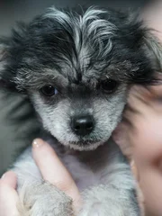 Amanda holds Rogue up to the camera with her face out of focus in background.