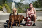 Tara and Amanda give some food to the stray brindle dog they found on the streets of Puerto Rico.