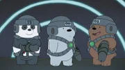 v.li.: Baby Panda, Baby Ice Bear, Baby Grizz