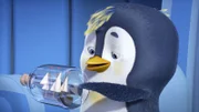 Der Pinguin und sein Buddelschiff.