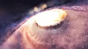 Offenbar gibt es in der Milchstraße eine immense Anzahl von potenziell erdähnlichen Planeten.